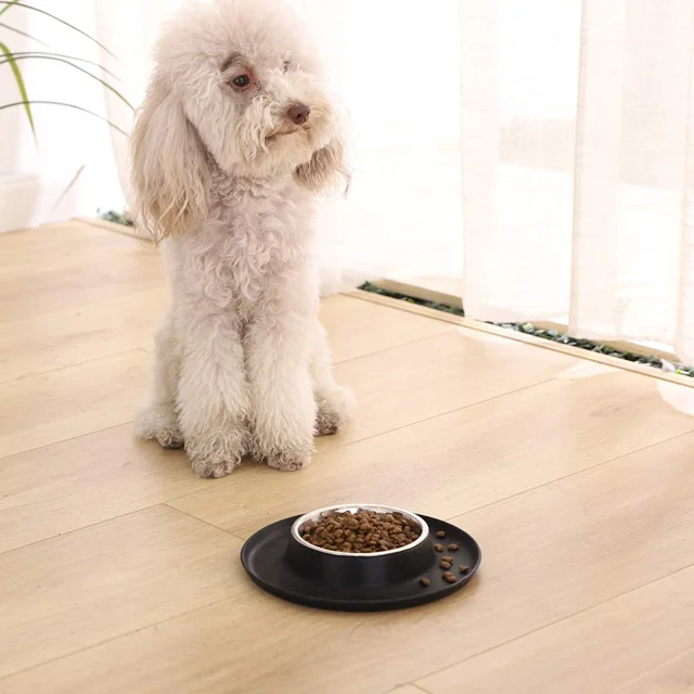 AmazonBasics 圓形矽膠墊連寵物碗 小碼