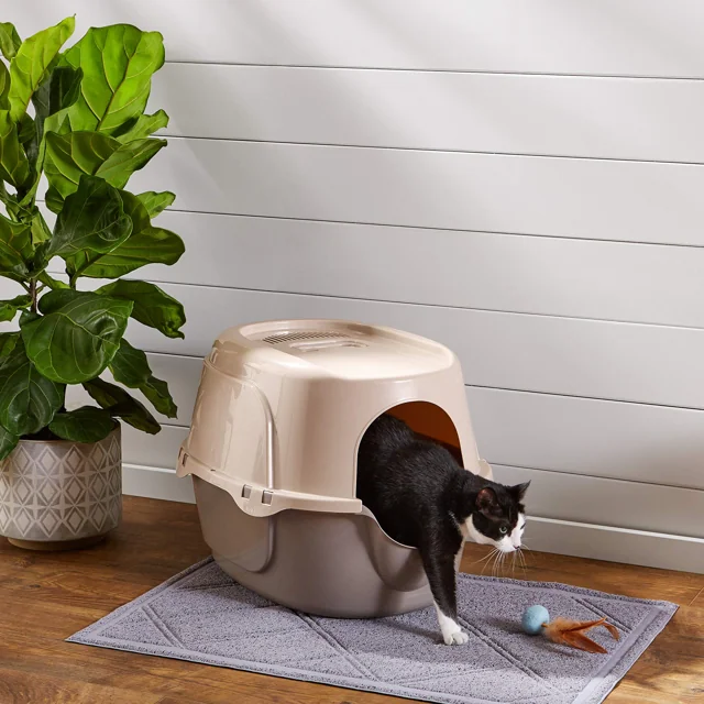AmazonBasics 有蓋無門貓砂盆 實物圖 4